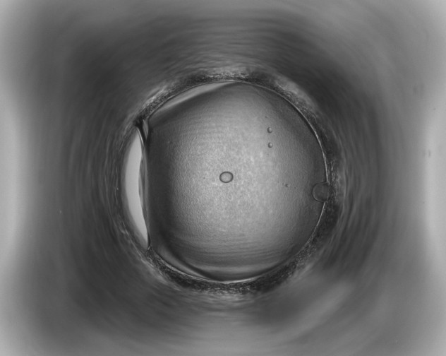 X0000086000729200704091037