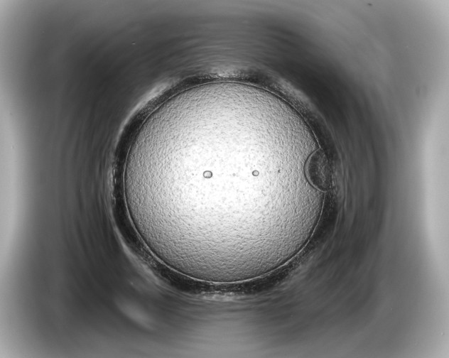 X0000086000730200704091037