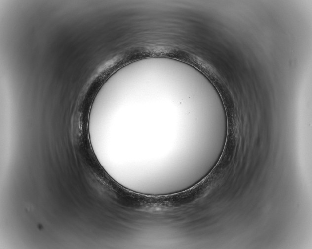 X0000086000731200704091037