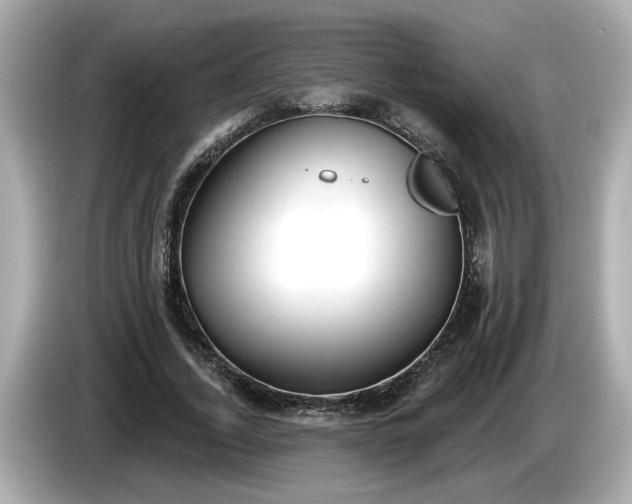 X0000086000732200704091037