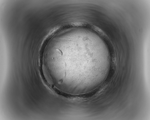 X0000086000734200704091037