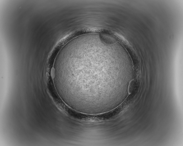 X0000086000736200704091037