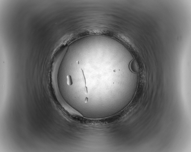 X0000086000738200704091037