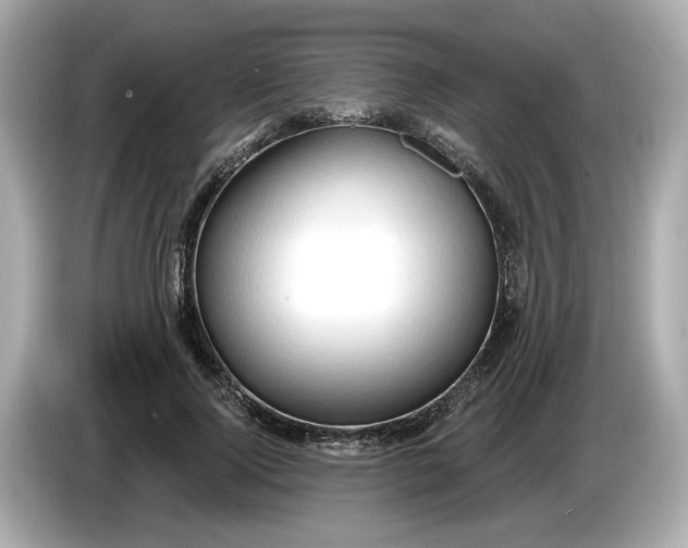 X0000086000740200704091037