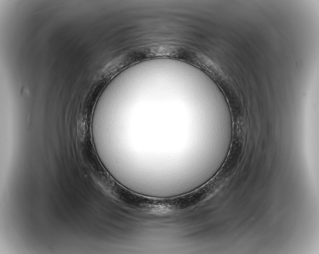 X0000086000741200704091037