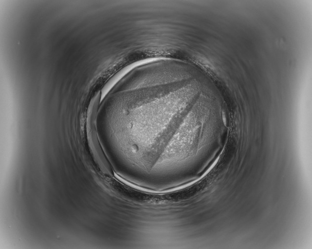 X0000086000742200704091037