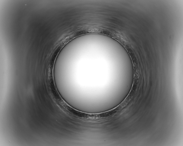 X0000086000744200704091037