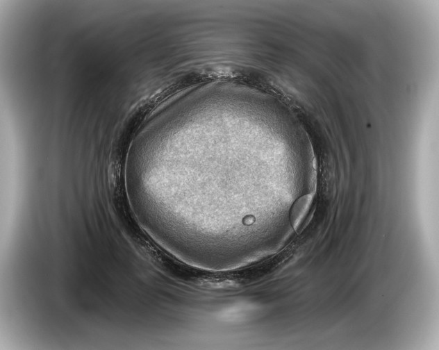 X0000086000747200704091037