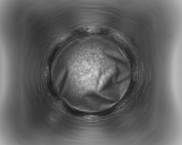 X0000086000748200704091037