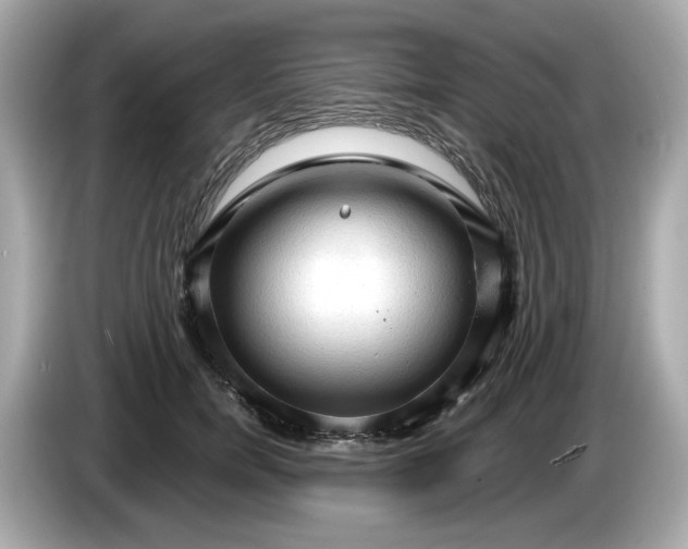 X0000086000750200704091037