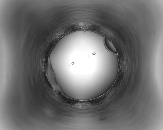 X0000086000752200704091037