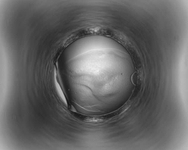 X0000086000754200704091037