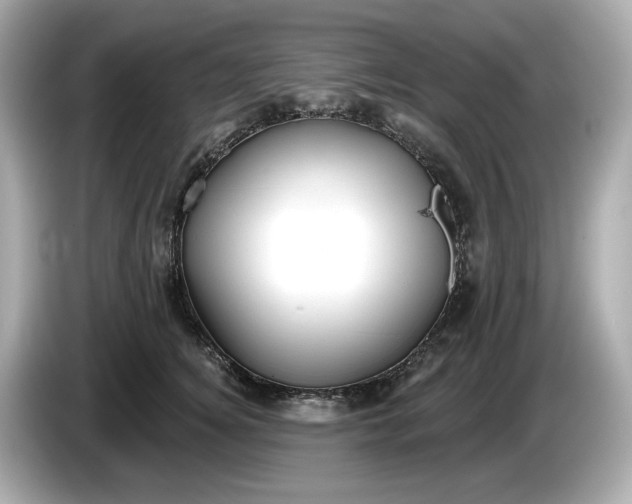 X0000086000756200704091037