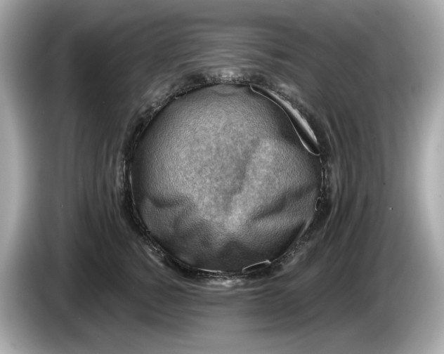 X0000086000760200704091037