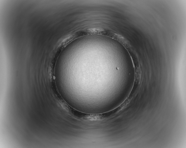 X0000086000762200704091037