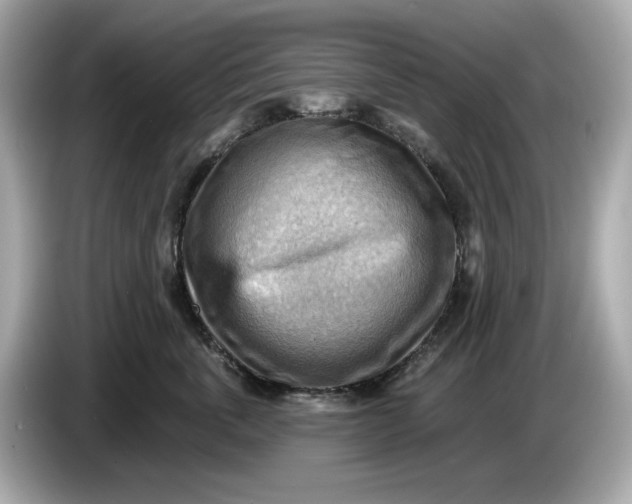 X0000086000763200704091037