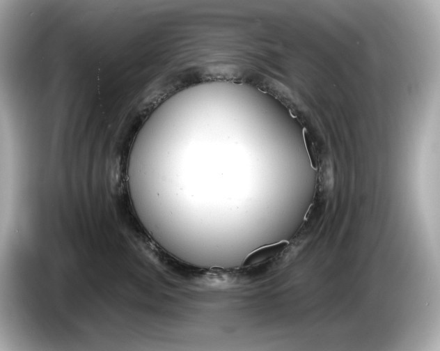 X0000086000764200704091037