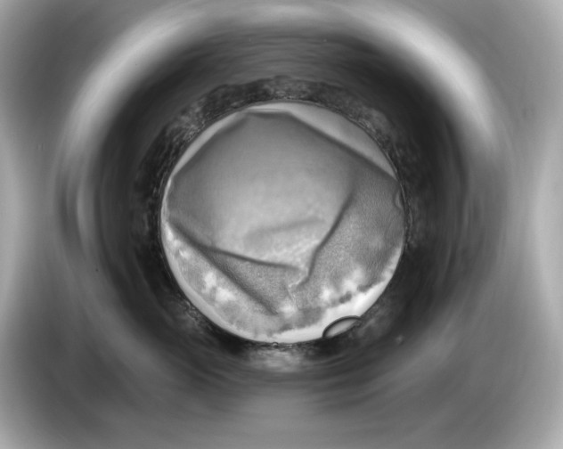 X0000086000765200704091037