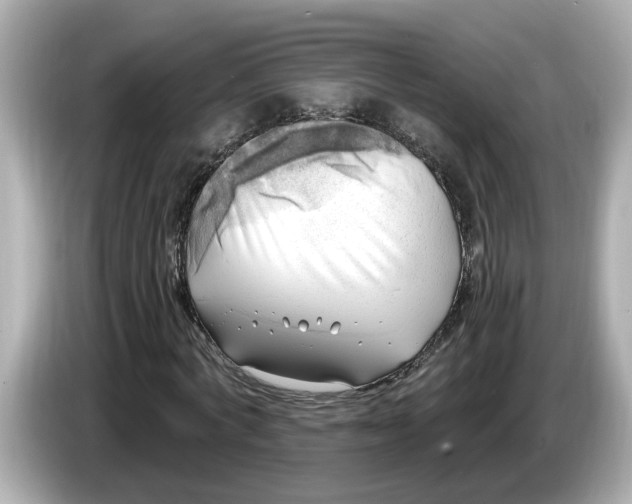 X0000086000772200704091037