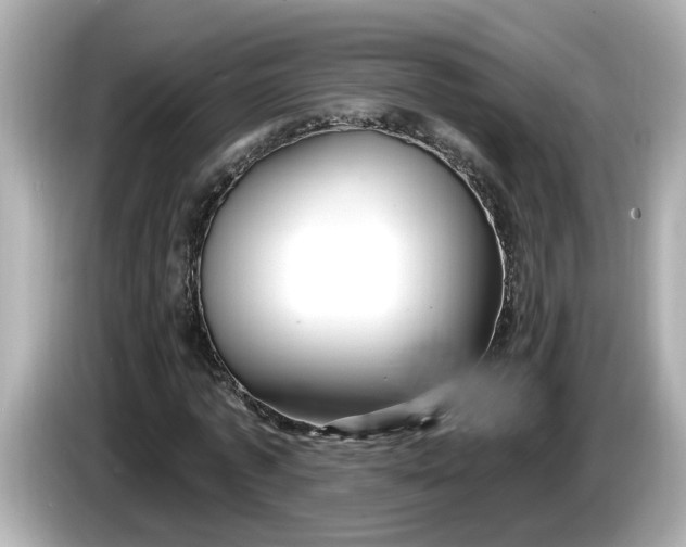 X0000086000773200704091037