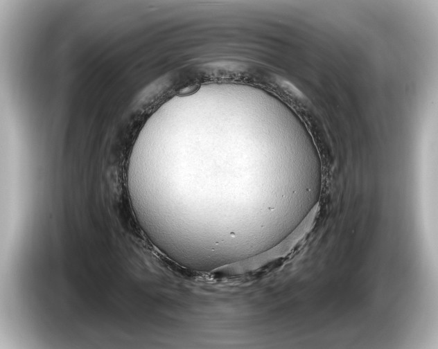 X0000086000774200704091037