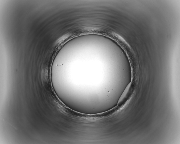 X0000086000777200704091037