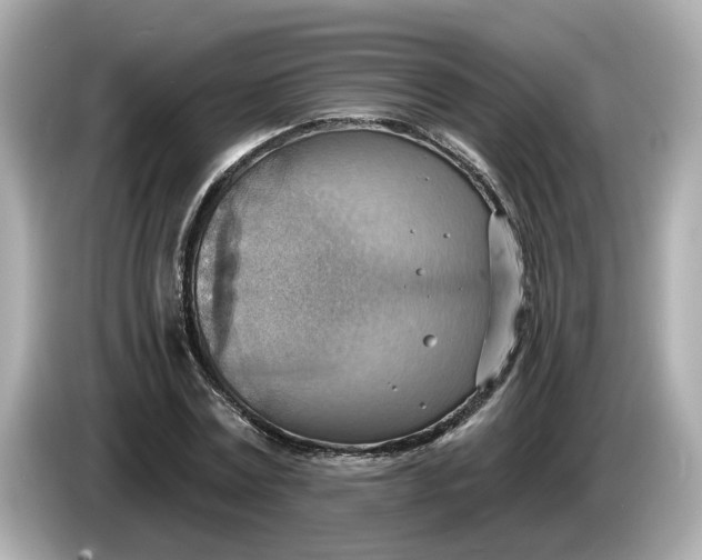 X0000086000779200704091037