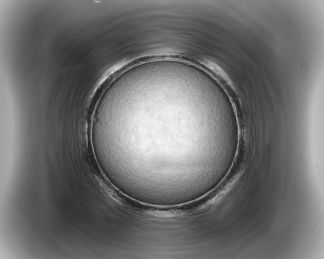 X0000086000781200704091037