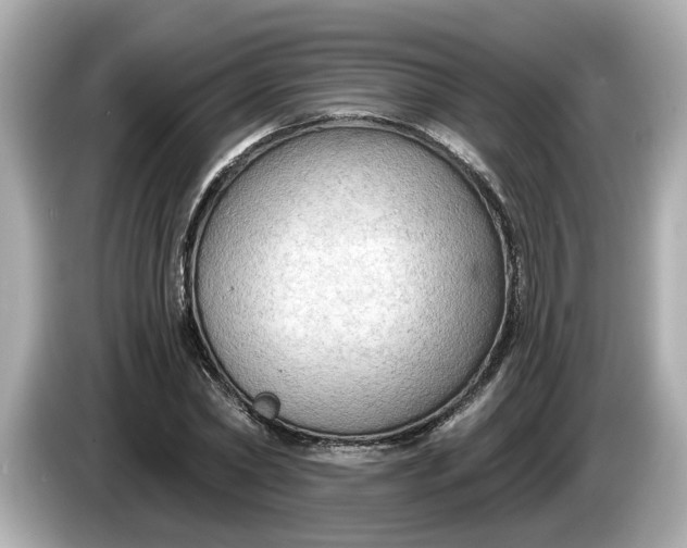 X0000086000782200704091037