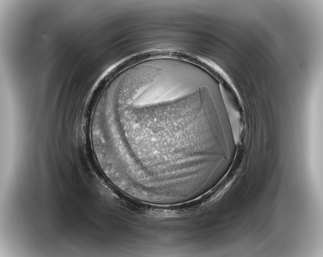 X0000086000783200704091037