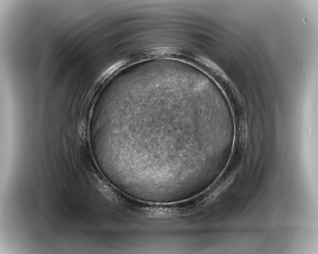 X0000086000785200704091036