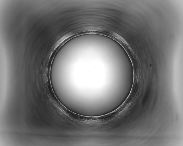 X0000086000786200704091036