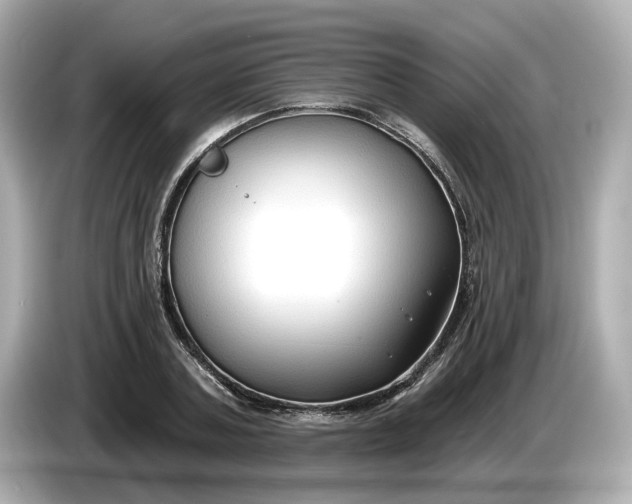 X0000086000787200704091036