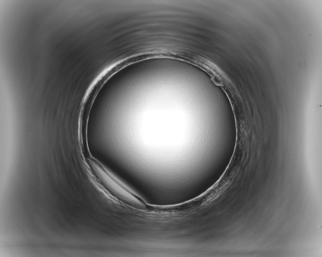 X0000086000788200704091036