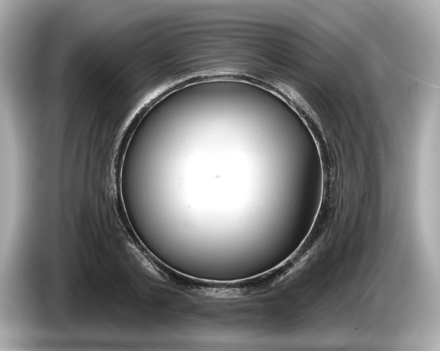 X0000086000789200704091036