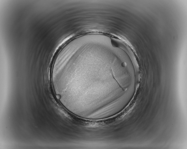 X0000086000790200704091036