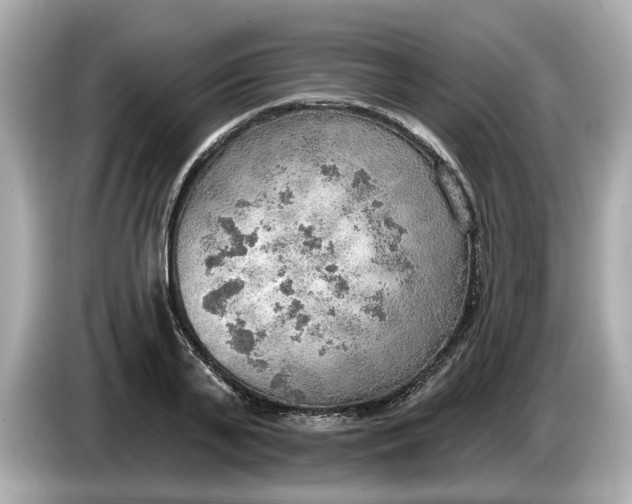 X0000086000791200704091036