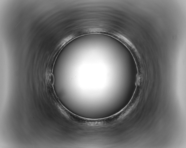 X0000086000793200704091036