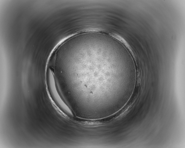 X0000086000795200704091036