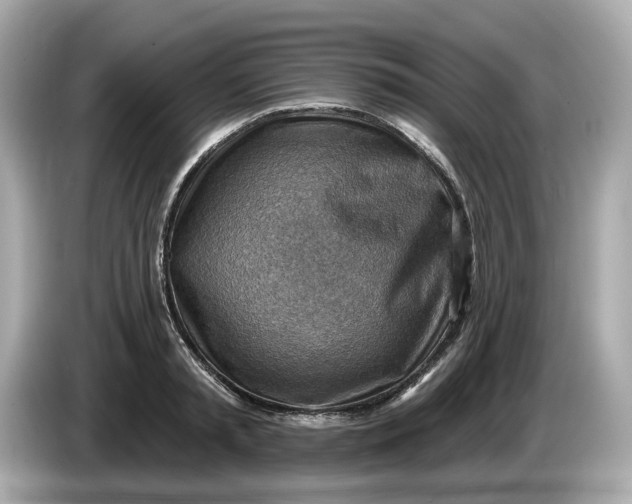 X0000086000797200704091036