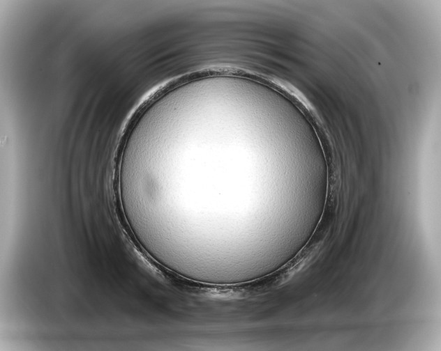 X0000086000799200704091036