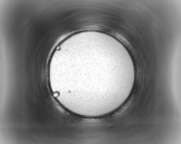 X0000086000800200704091036