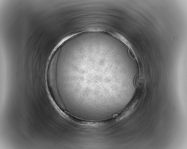 X0000086000803200704091036