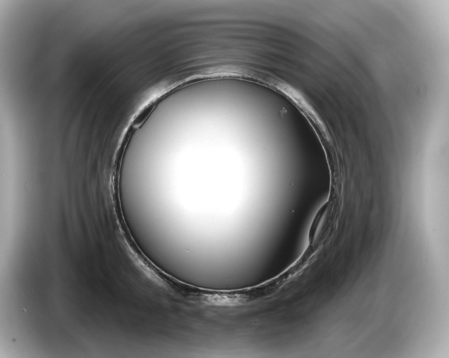 X0000086000805200704091036