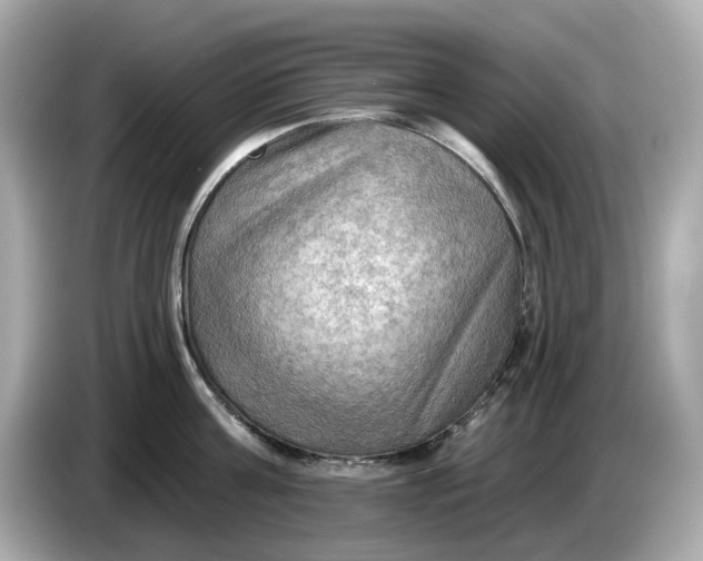 X0000086000811200704091036