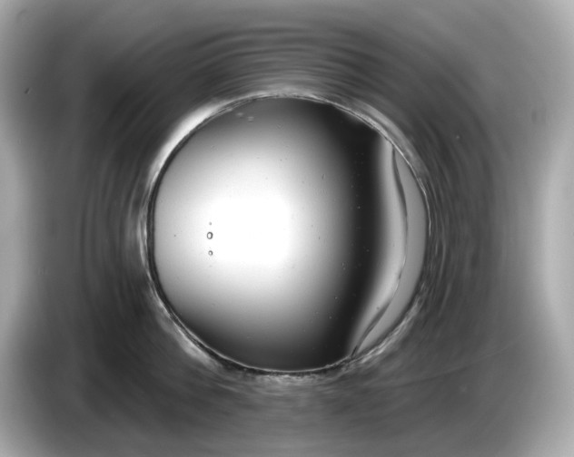 X0000086000812200704091036