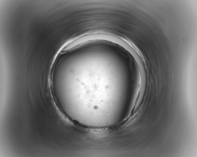 X0000086000813200704091036