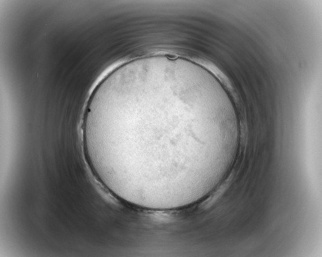 X0000086000814200704091036