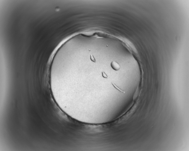 X0000086000816200704091036