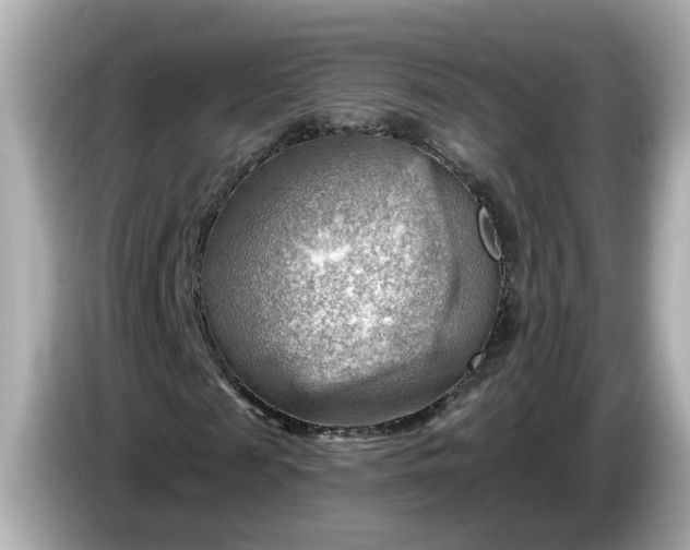 X0000086000817200704091036